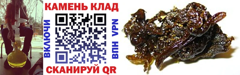 ссылка на мегу рабочий сайт  Губкин  ГАШИШ AMNESIA HAZE 