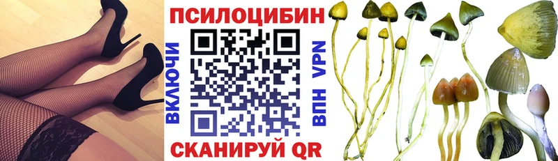 Псилоцибиновые грибы GOLDEN TEACHER  blacksprut онион  Губкин 
